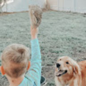 Meet your Posher, Jeb